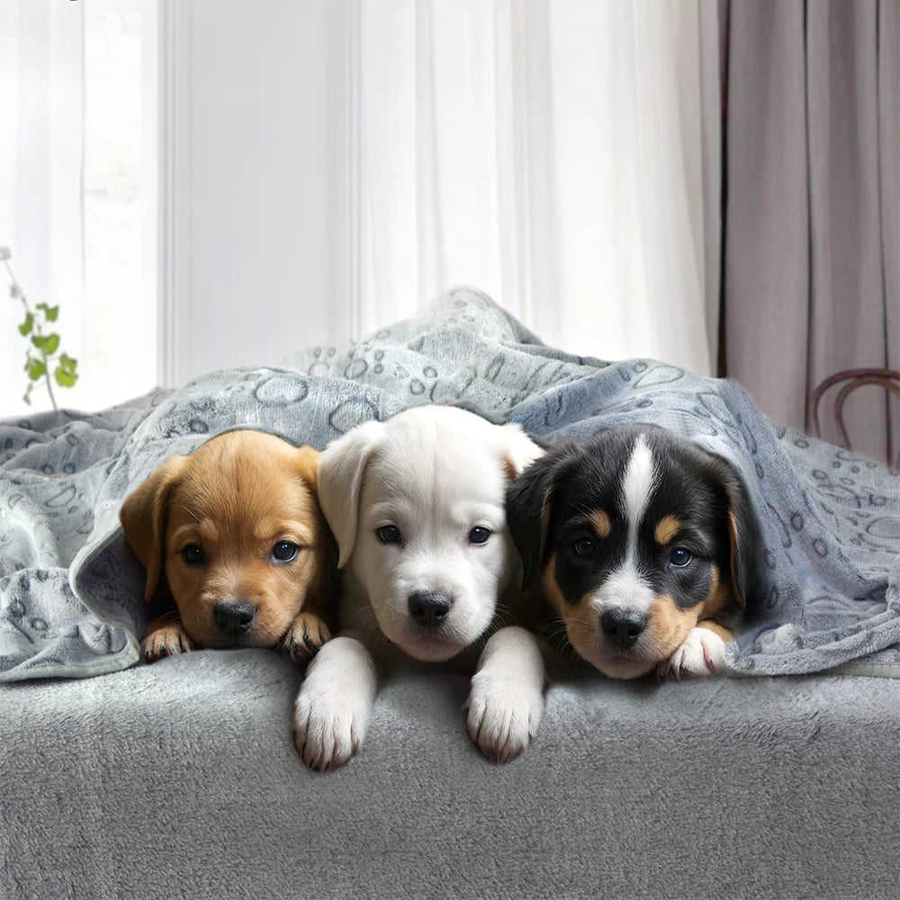 1Pcs Ultra-Soft Paw Print Dog Blankets - Machine Washable, Cozy Pet Pillow Pads for Indoor & Outdoor Use - Ideal for Small to La